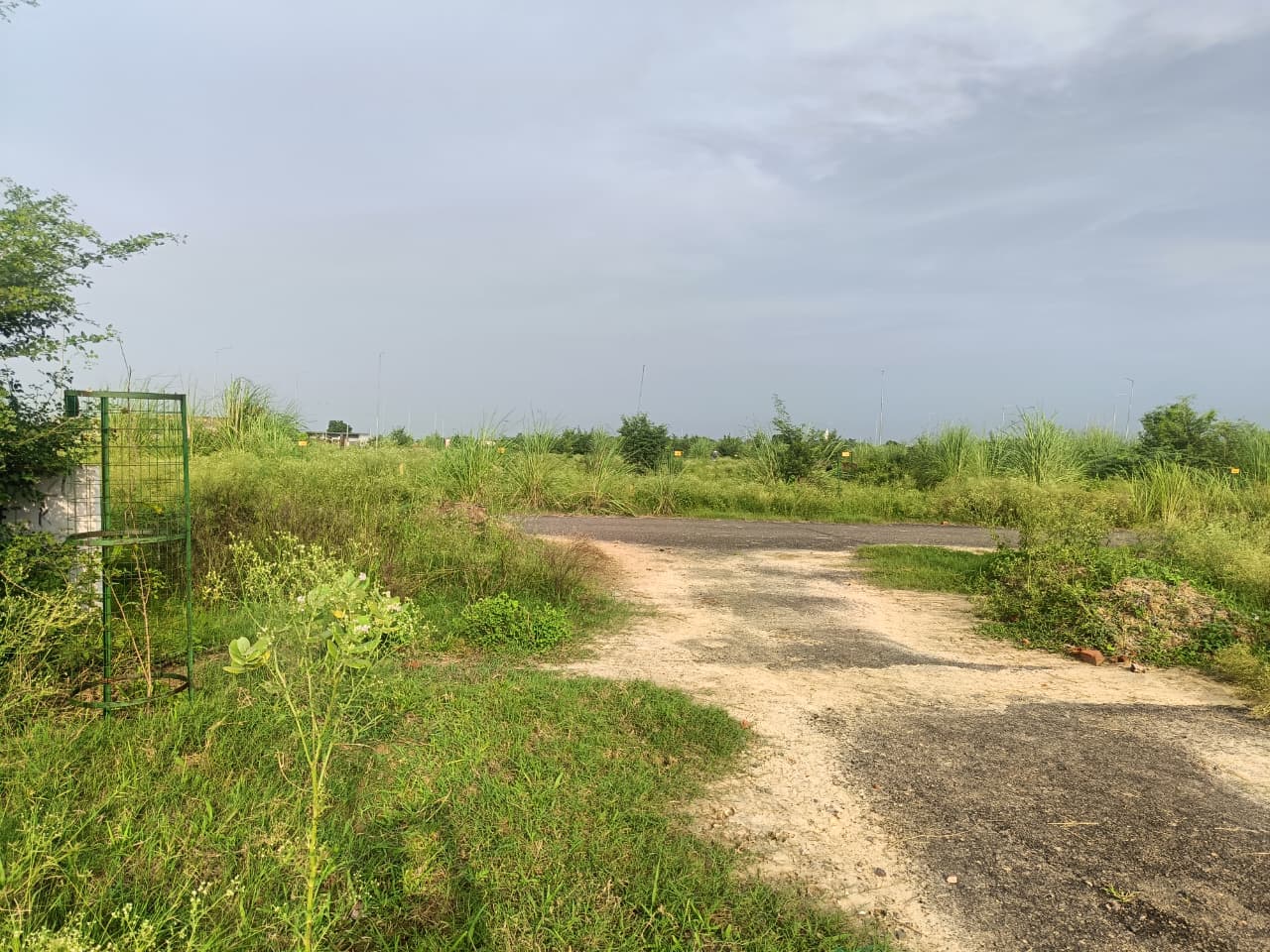Plot 6
