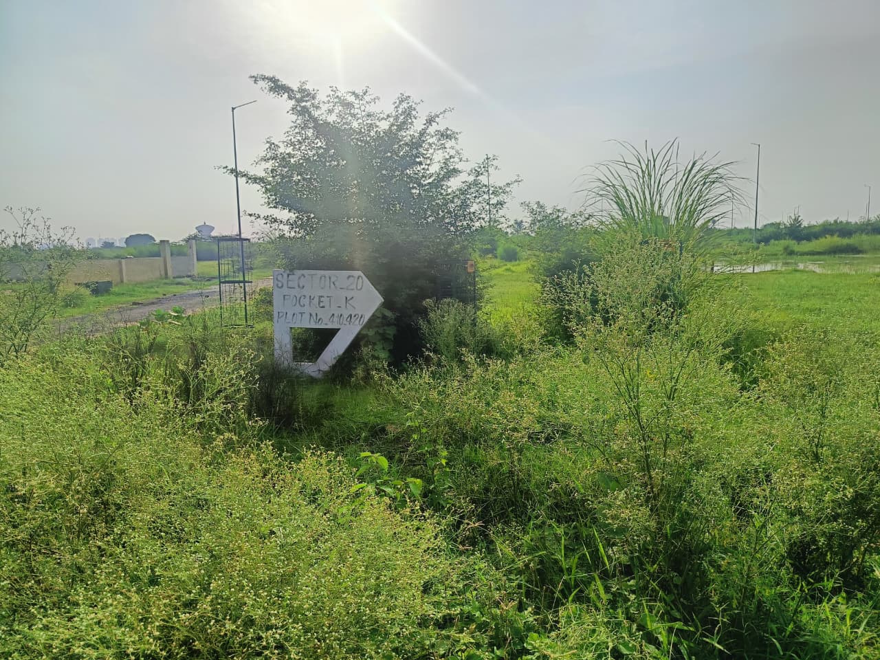 Plot 7