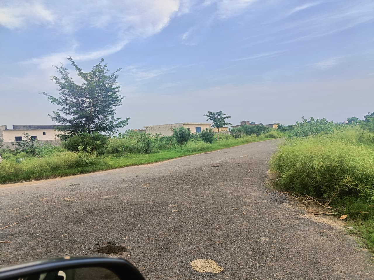 Plot 1