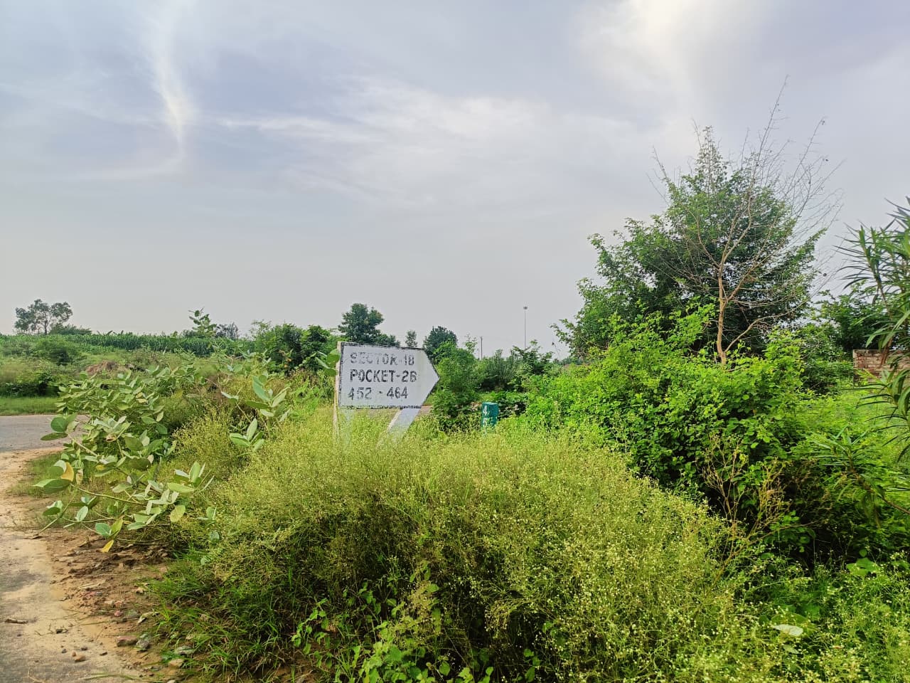 Plot 4