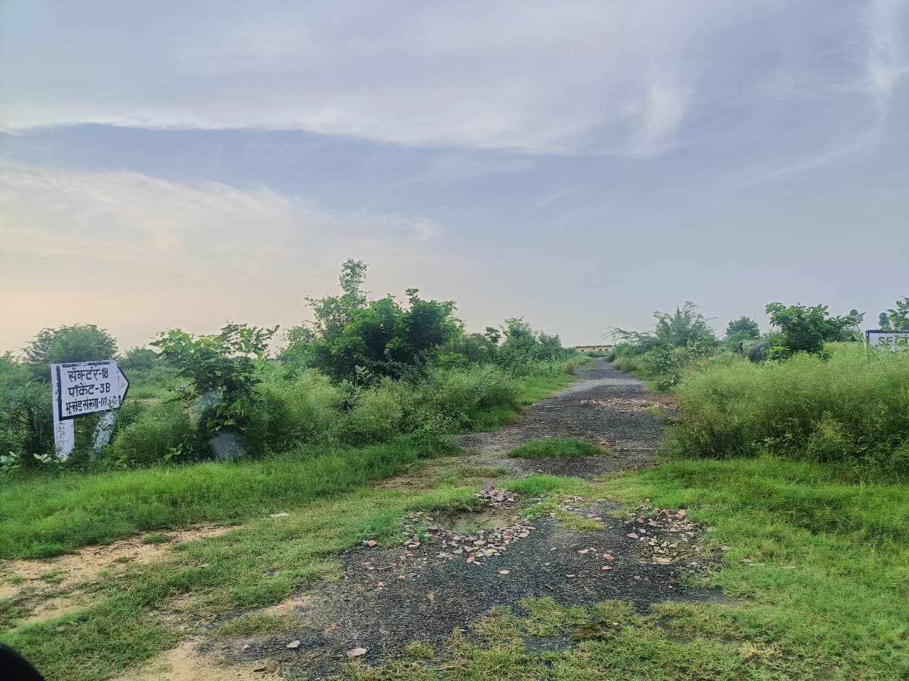 Plot 8