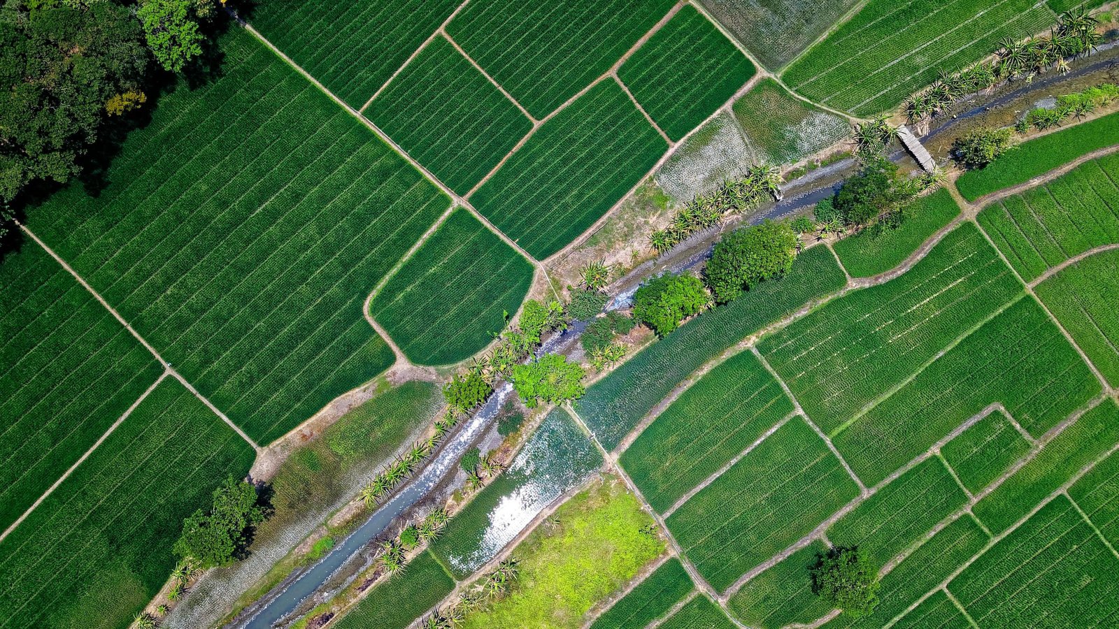 Farmhouse Land in Jewar