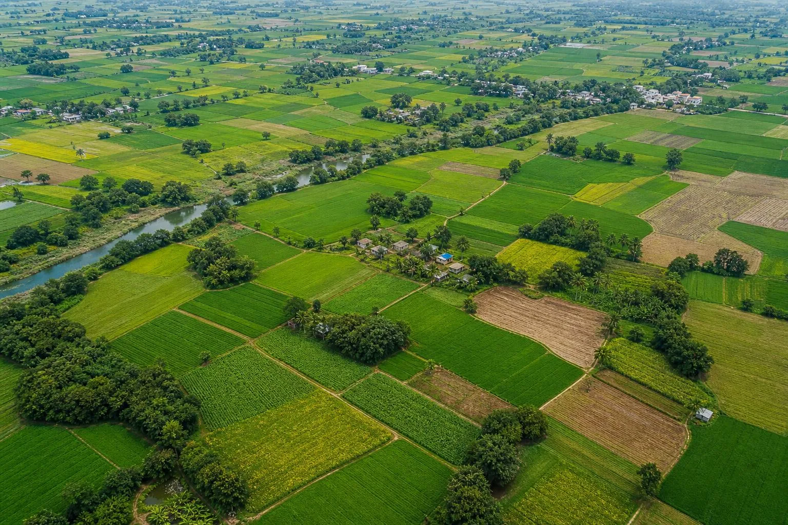 50 Bigha Agricultural Land for Sale