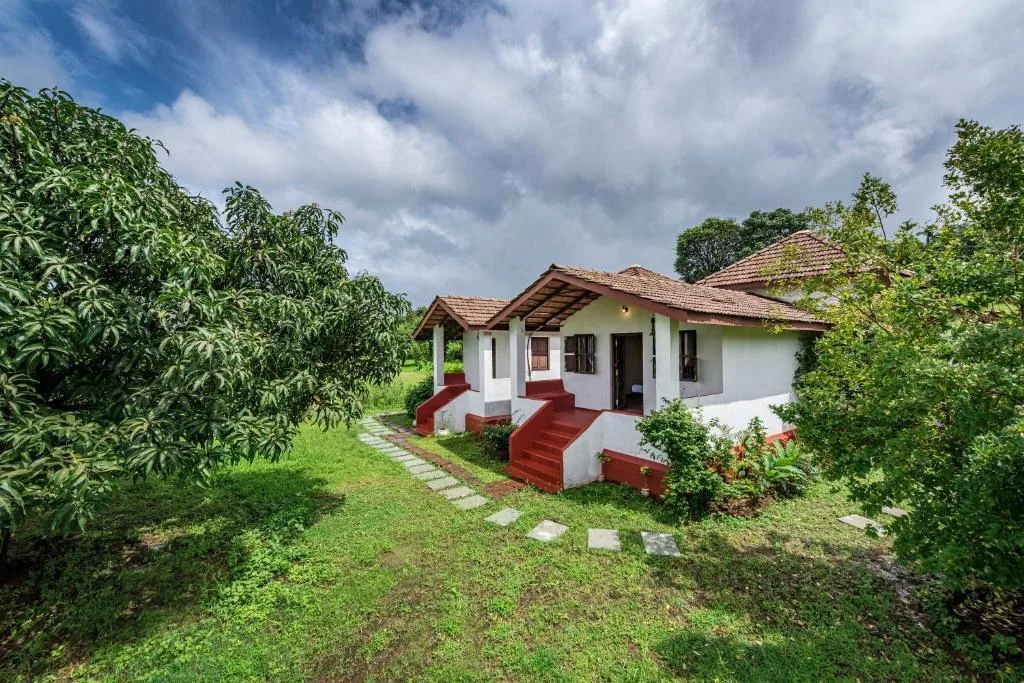 10 Bigha Expansive Countryside Holding near Yamuna Expressway